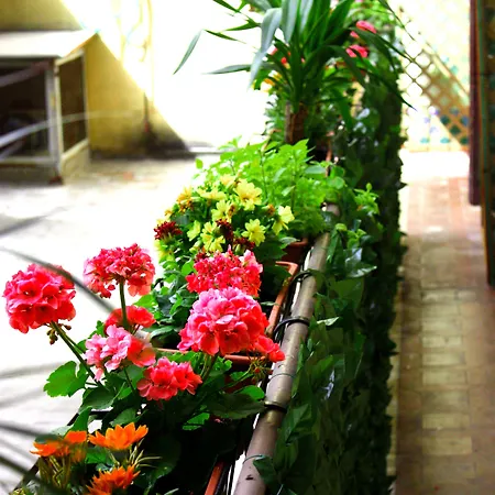 Legend R.g. Hostel